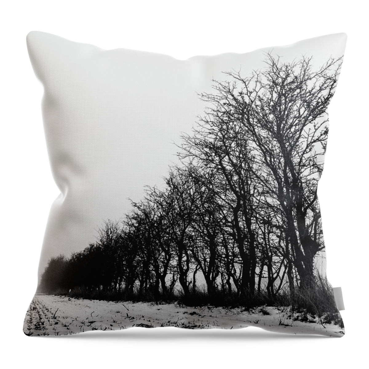 Trees Throw Pillow featuring the photograph Trees in line by Mike Santis