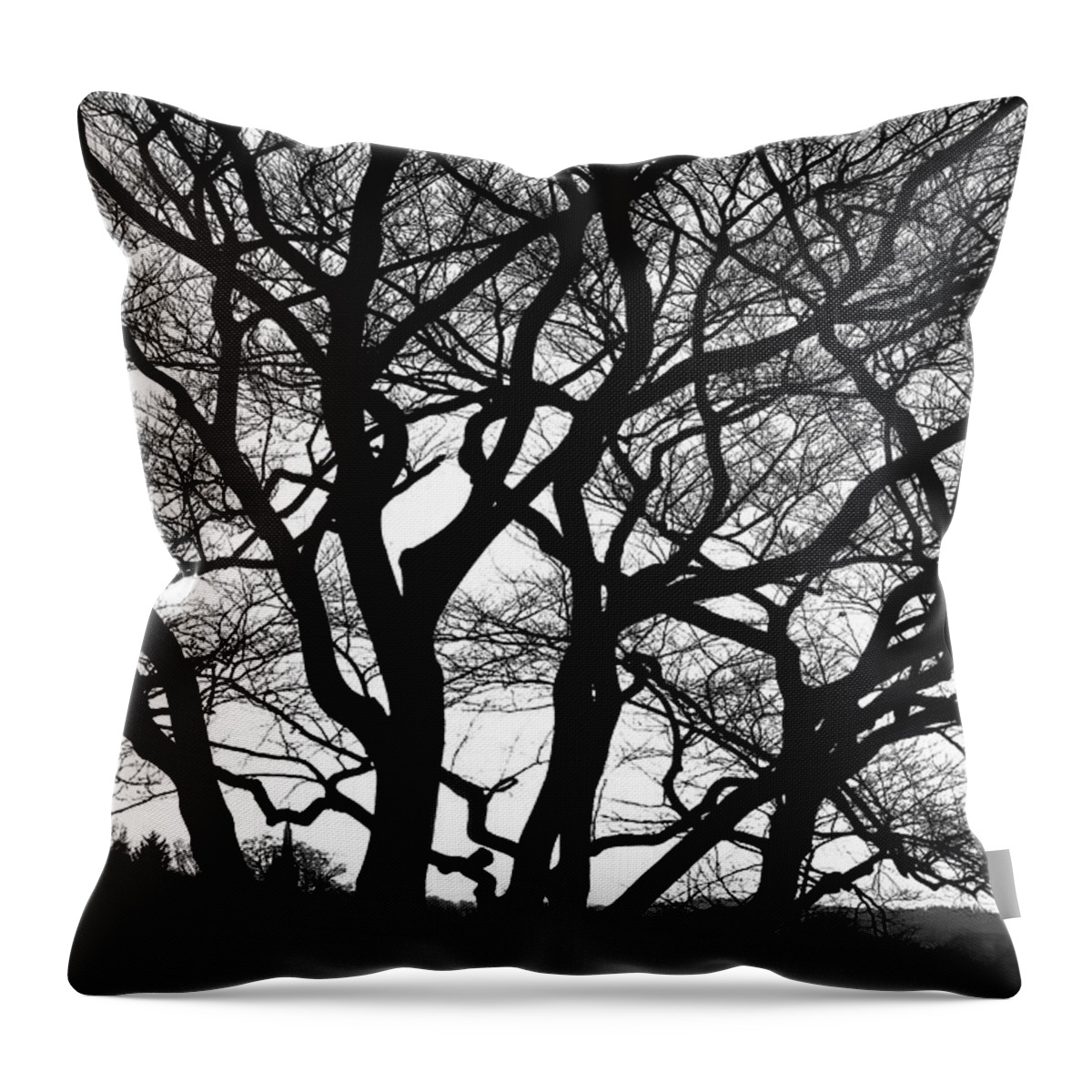 Outdoor Throw Pillow featuring the photograph Enchanting Oak Tree by Aidan Moran