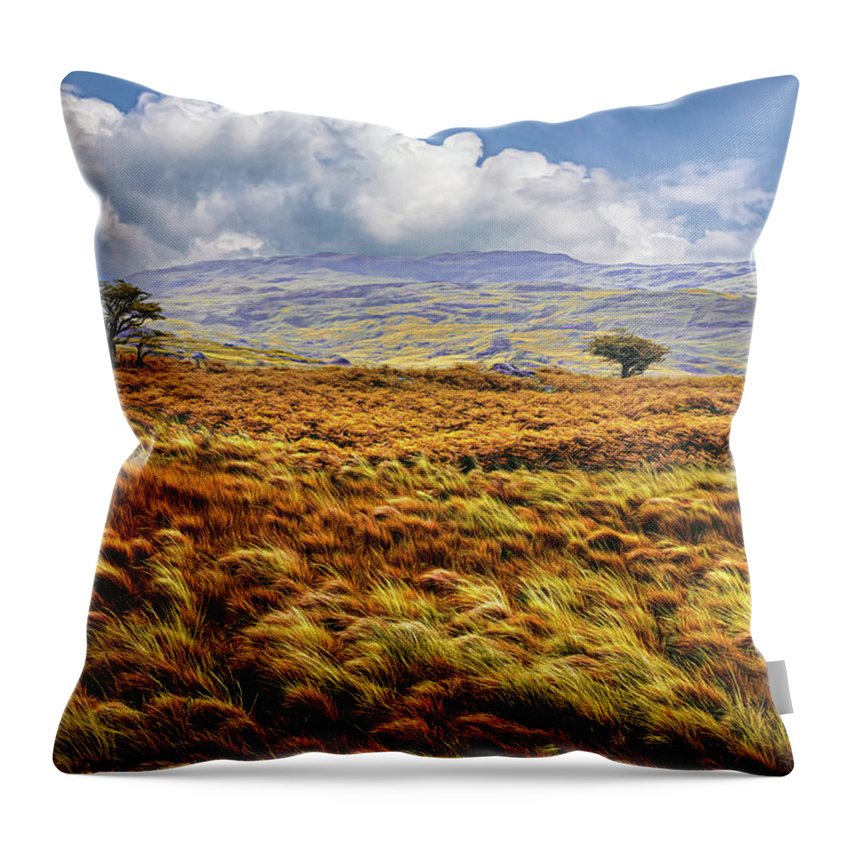 Clouds Throw Pillow featuring the photograph Trees in the Autumn Irish Mist by Debra and Dave Vanderlaan
