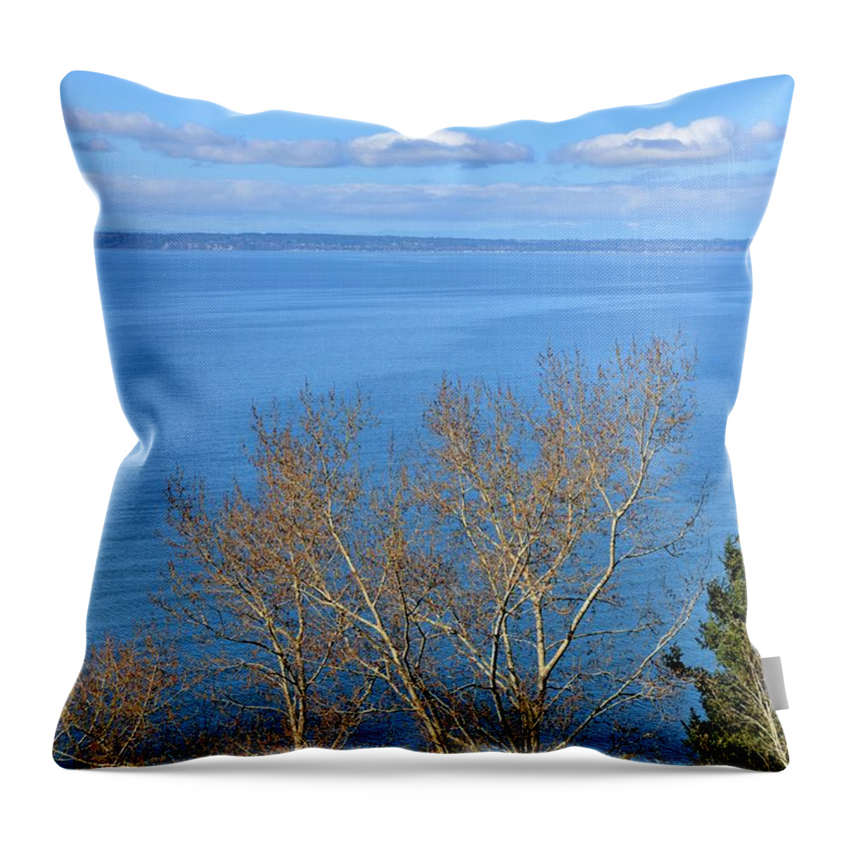Blue Sky Throw Pillow featuring the photograph Trees Looking Off The Ocean Bluff by James Cousineau