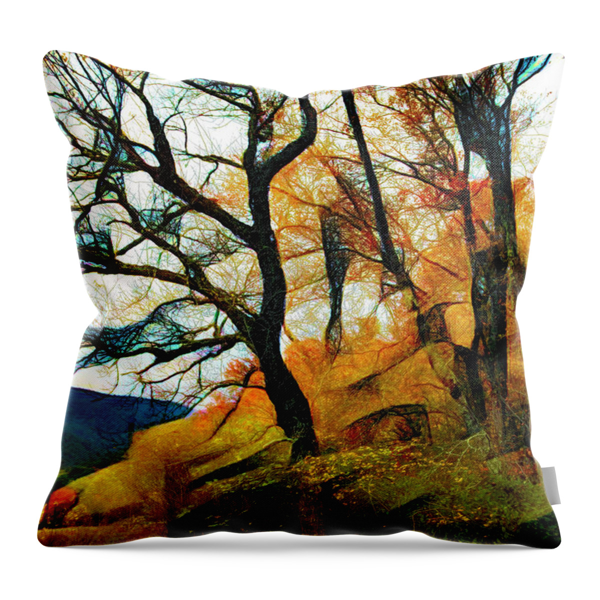 Cades Throw Pillow featuring the photograph Trees on the Edge of the Forest Abstract Painting by Debra and Dave Vanderlaan