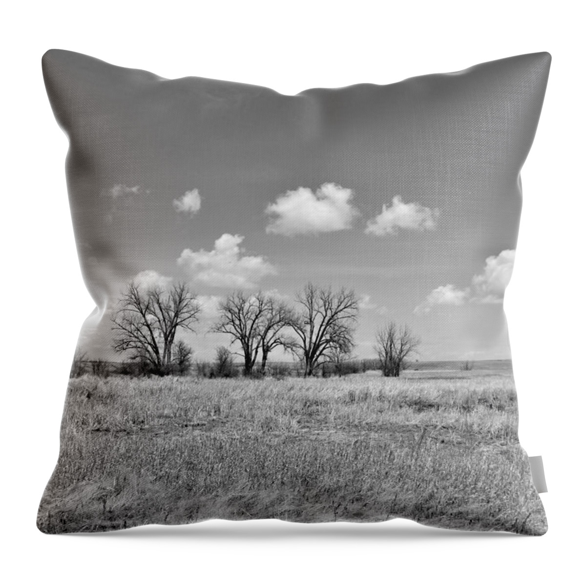 Trees Throw Pillow featuring the photograph Trees On The Prairie in Black and White by Amanda R Wright