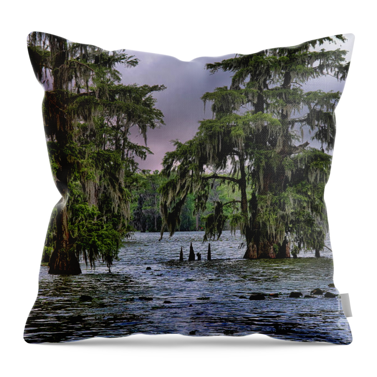 Louisiana Throw Pillow featuring the photograph Trees Swamp Spanish Moss Lake Martin Louisiana Color by Chuck Kuhn