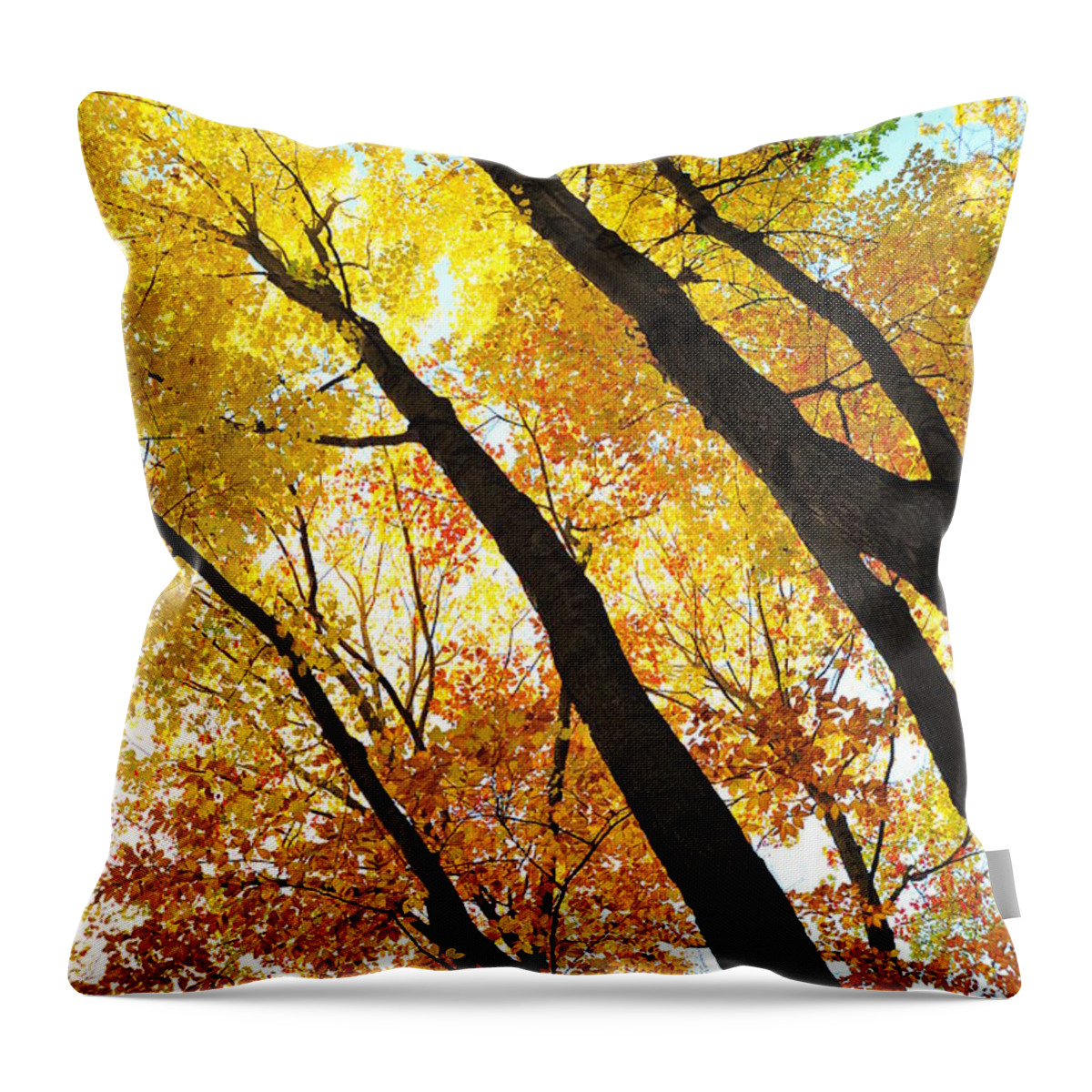 Yellow Throw Pillow featuring the photograph Reach for the Sky 2 by Terri Gostola