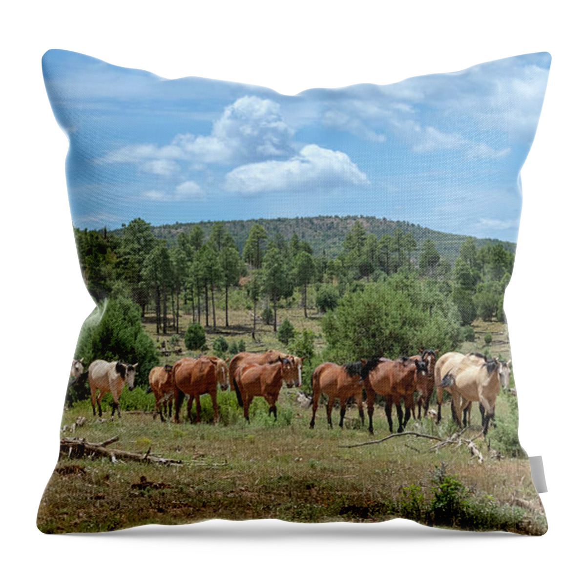 Stallion Throw Pillow featuring the photograph Trek to the Waterhole. by Paul Martin