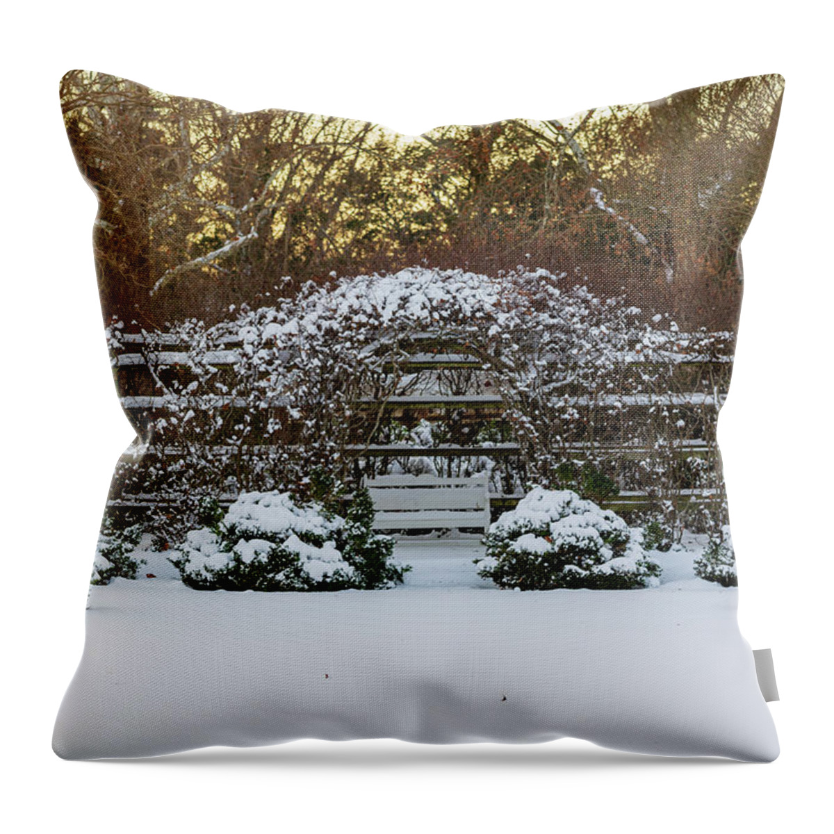 Colonial Williamsburg Throw Pillow featuring the photograph Trellis in the Snow by Lara Morrison