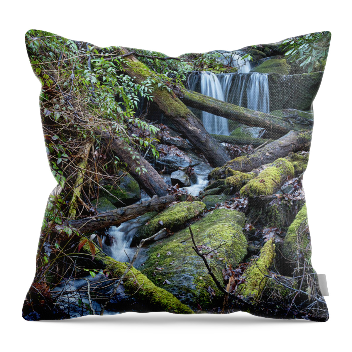 Tremont Throw Pillow featuring the photograph Tremont Waterfall 4 by Phil Perkins