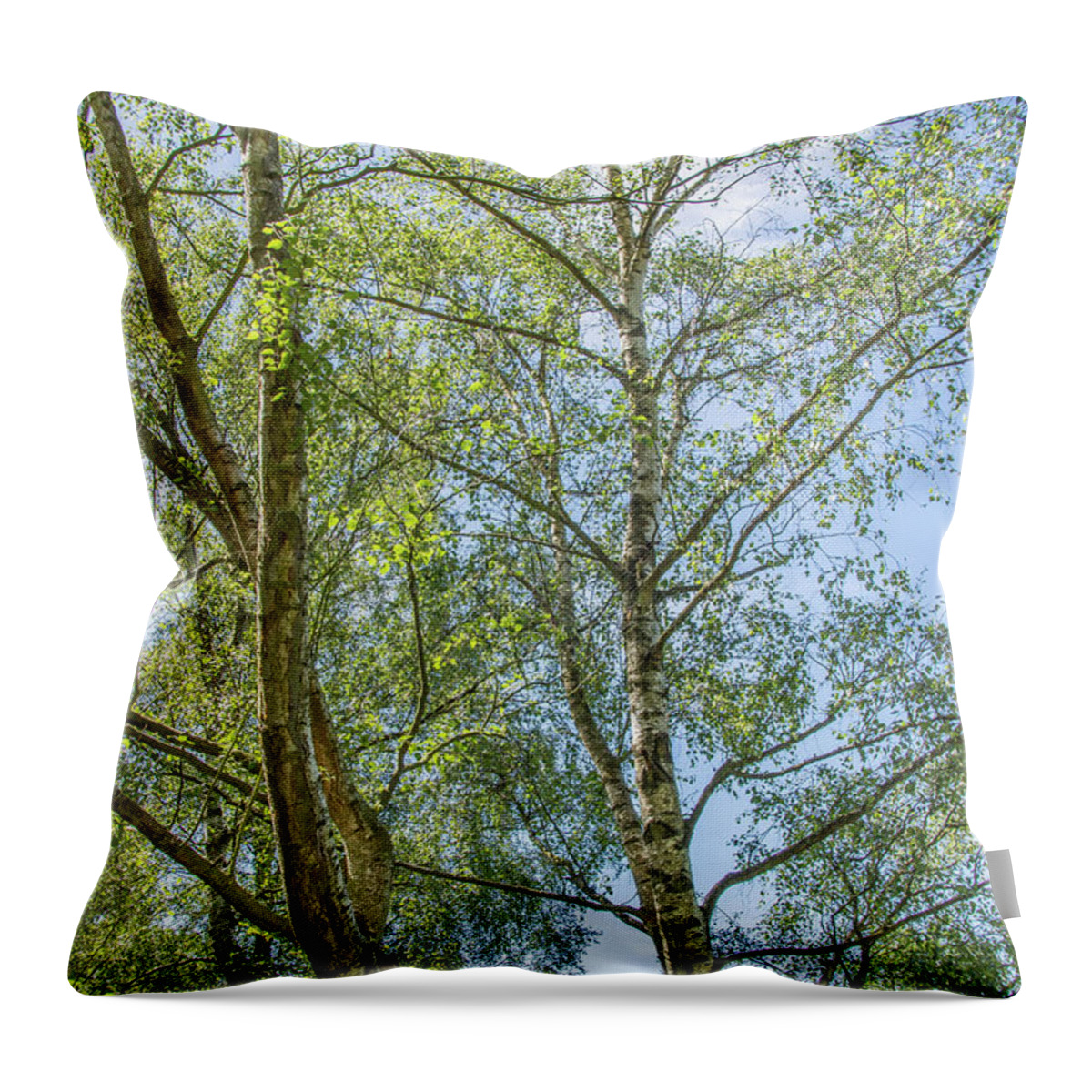 Trent Park Throw Pillow featuring the photograph Trent Park Trees Summer 3 by Edmund Peston