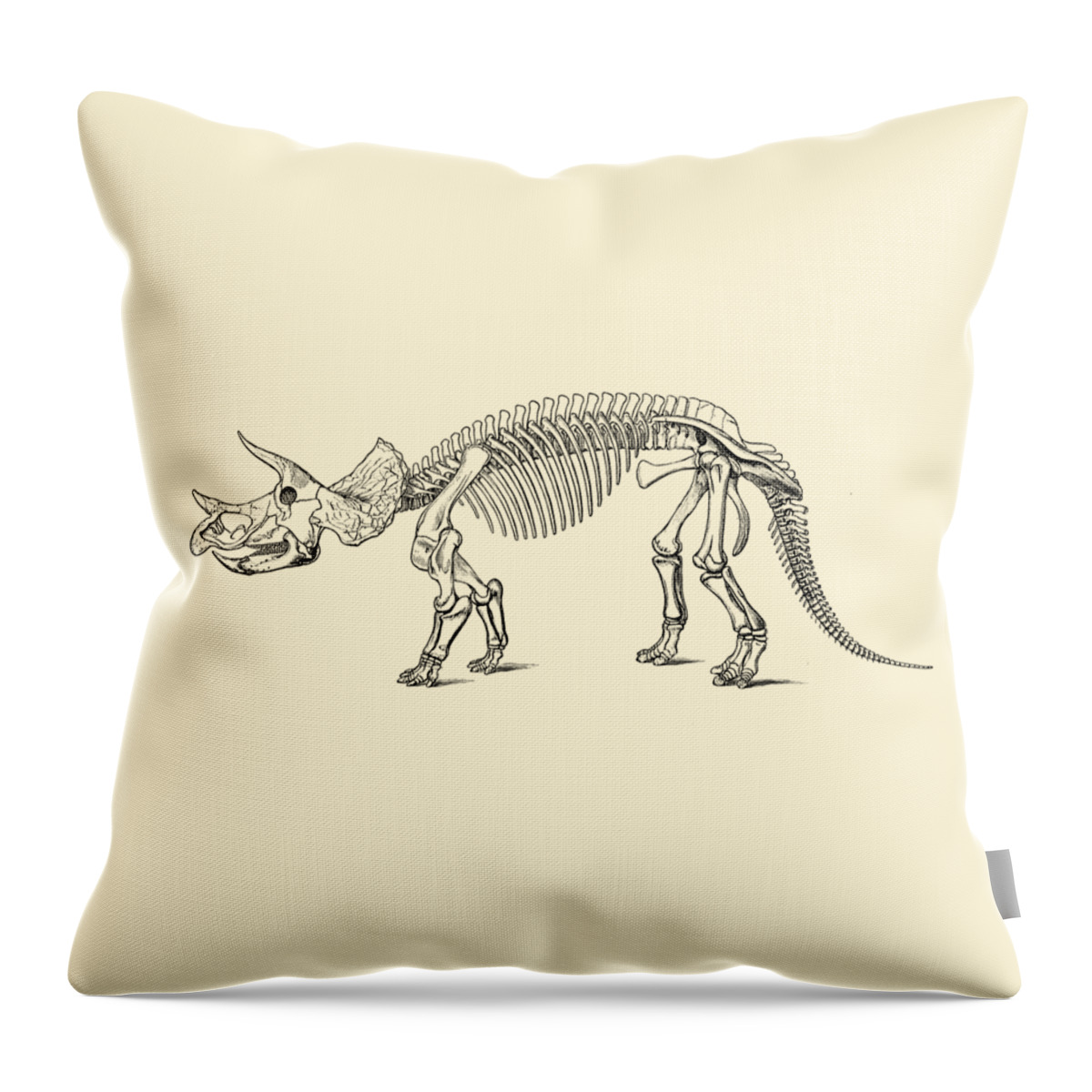 Dino Throw Pillow featuring the digital art Triceratops skeleton by Madame Memento