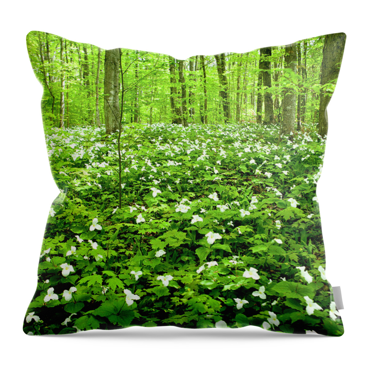 Trillium Throw Pillow featuring the photograph Trillium Field by Rich S