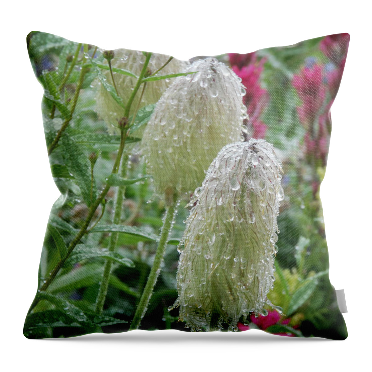 Western Anemone Throw Pillow featuring the photograph Trio of Western Anemone Wildflowers by Nancy Gleason