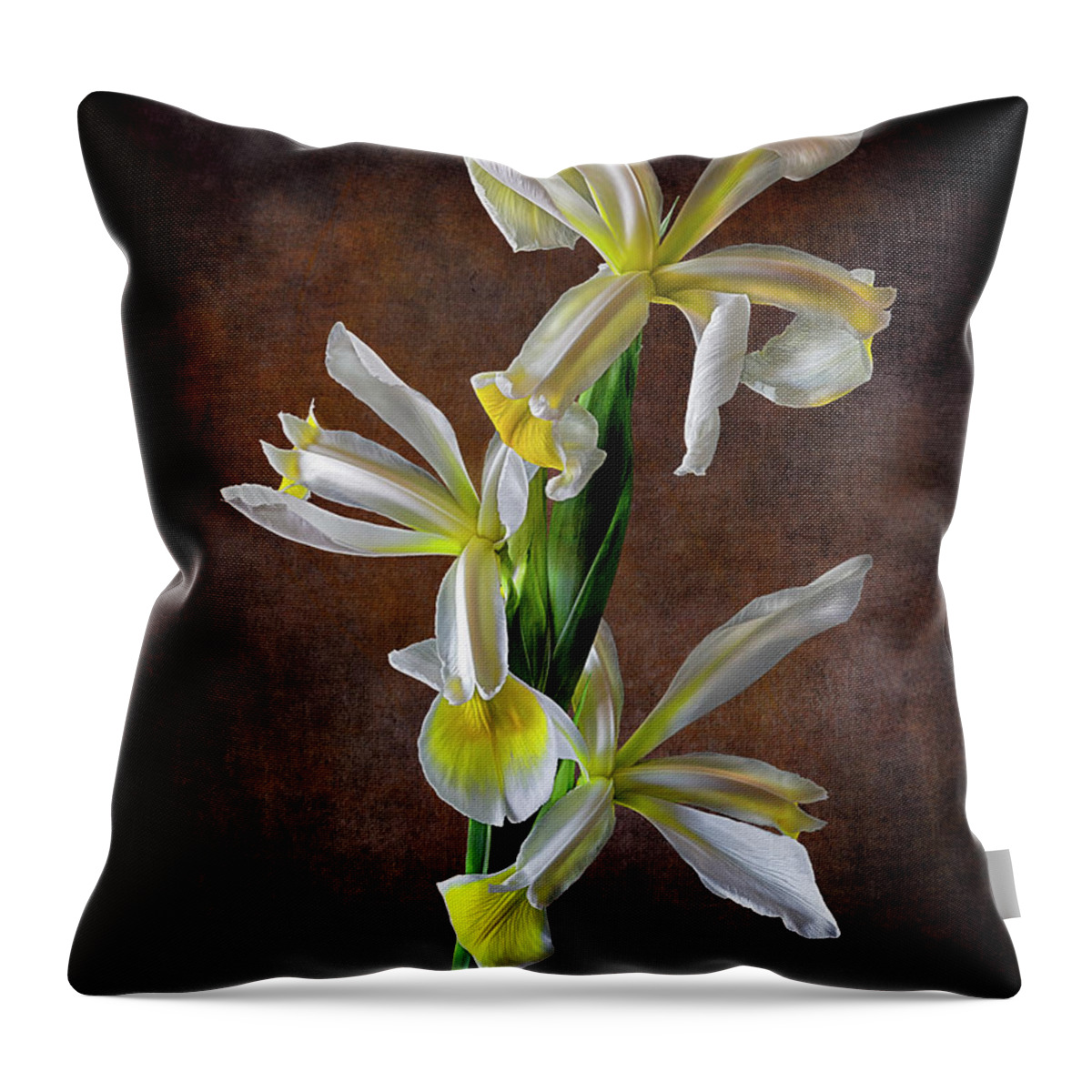 Triple White Irises Throw Pillow featuring the photograph Triple White Irises by Endre Balogh