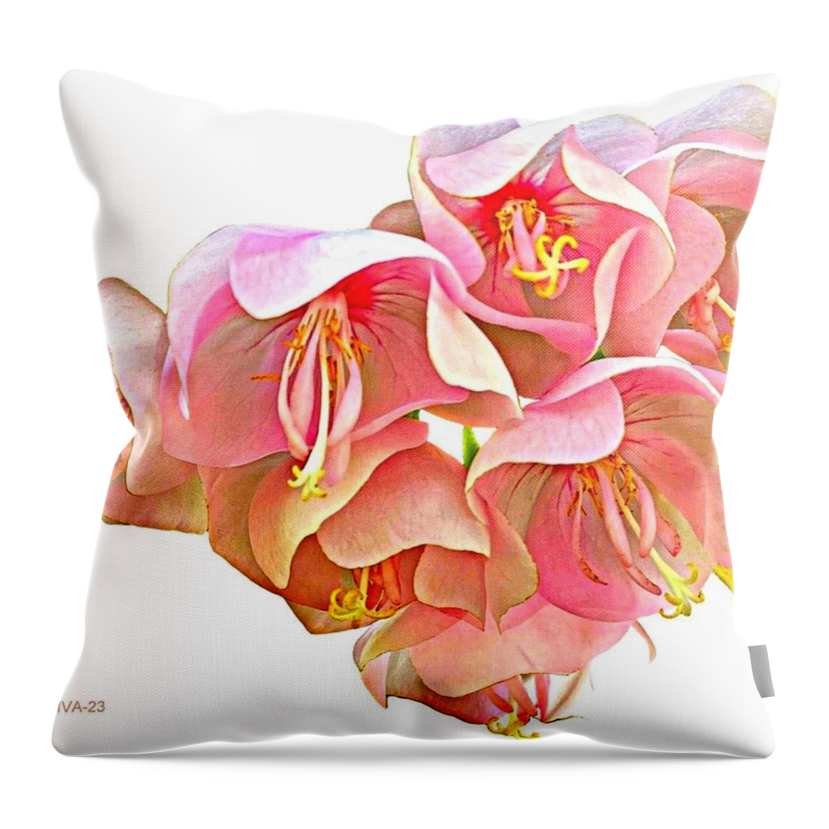 Hydrangea Throw Pillow featuring the photograph Tropical Hydrangea Pinkball by VIVA Anderson