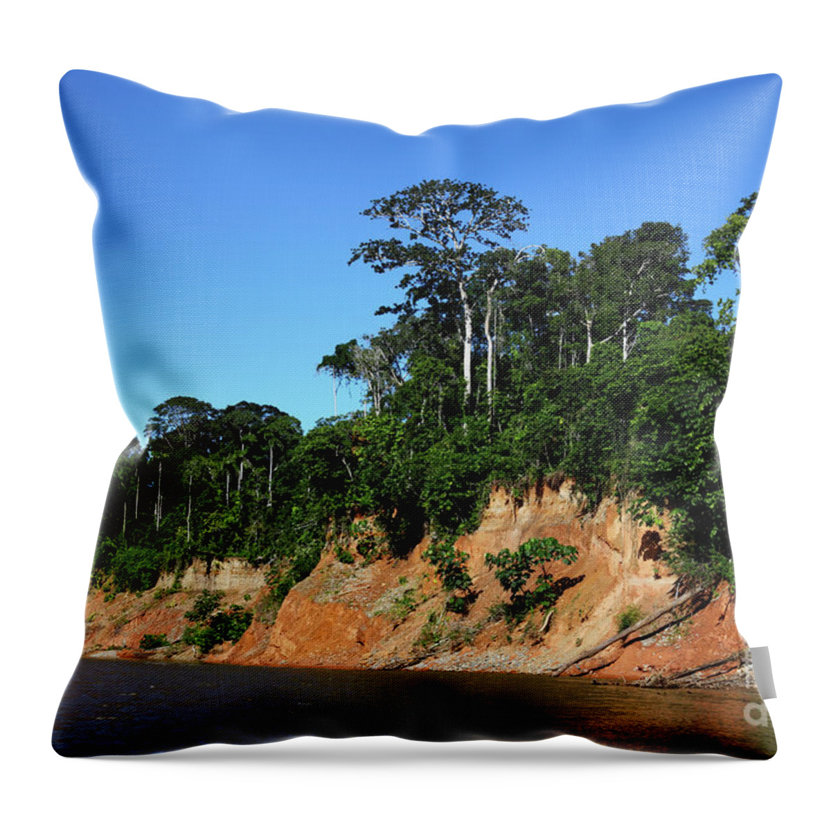 Amazon Throw Pillow featuring the photograph Tropical rainforest Madidi National Park Bolivia by James Brunker