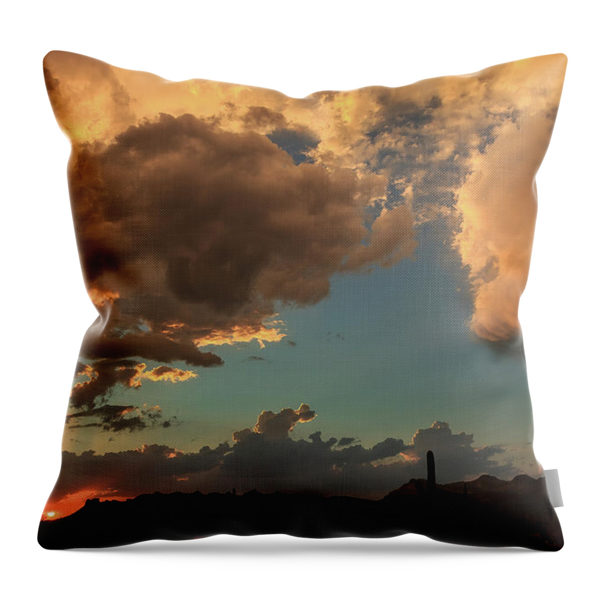 American Southwest Throw Pillow featuring the photograph Troubled Sky by Rick Furmanek