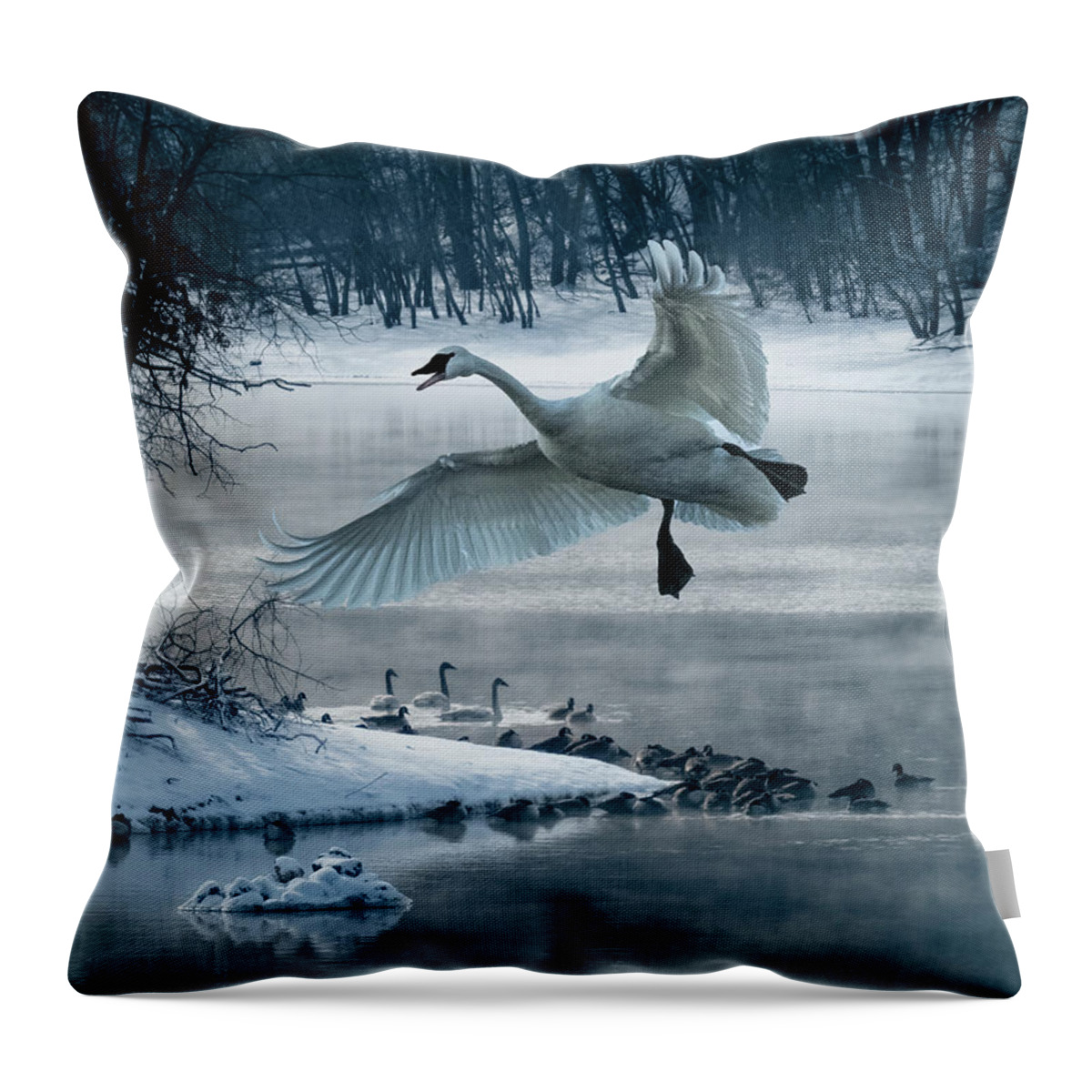 Swan Throw Pillow featuring the photograph Trumpeter Swan Fly By by Patti Deters