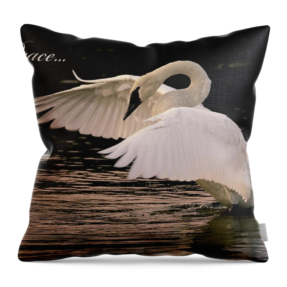 Trumpeter Swan Throw Pillow featuring the photograph Trumpeter Swan Peace by Vicki Stansbury