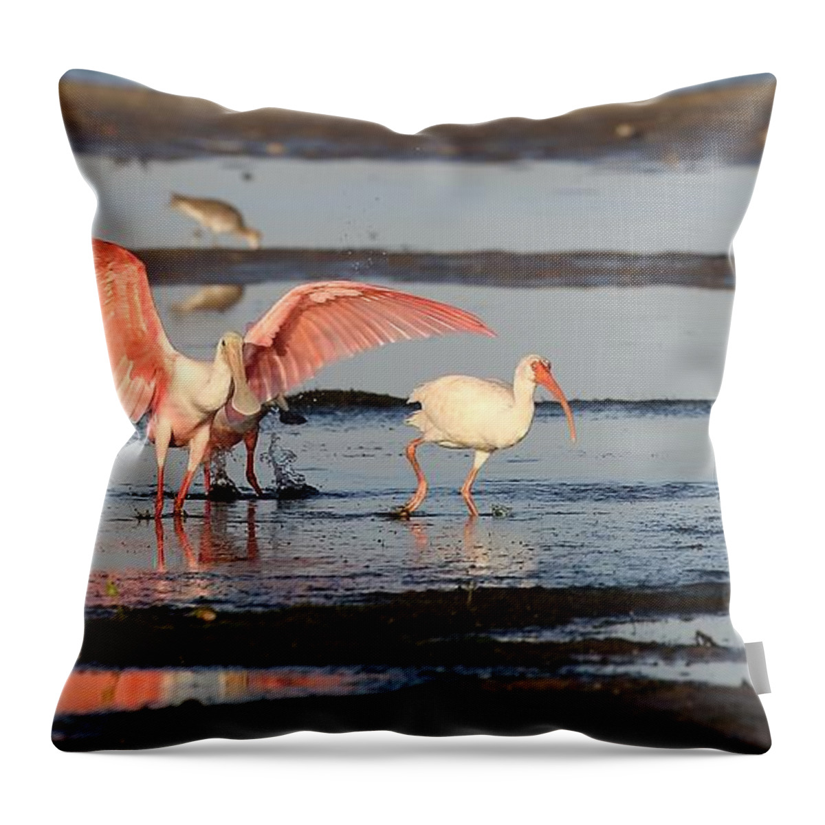 Roseate Spoonbill Throw Pillow featuring the photograph Roseate Spoonbill 10 by Mingming Jiang