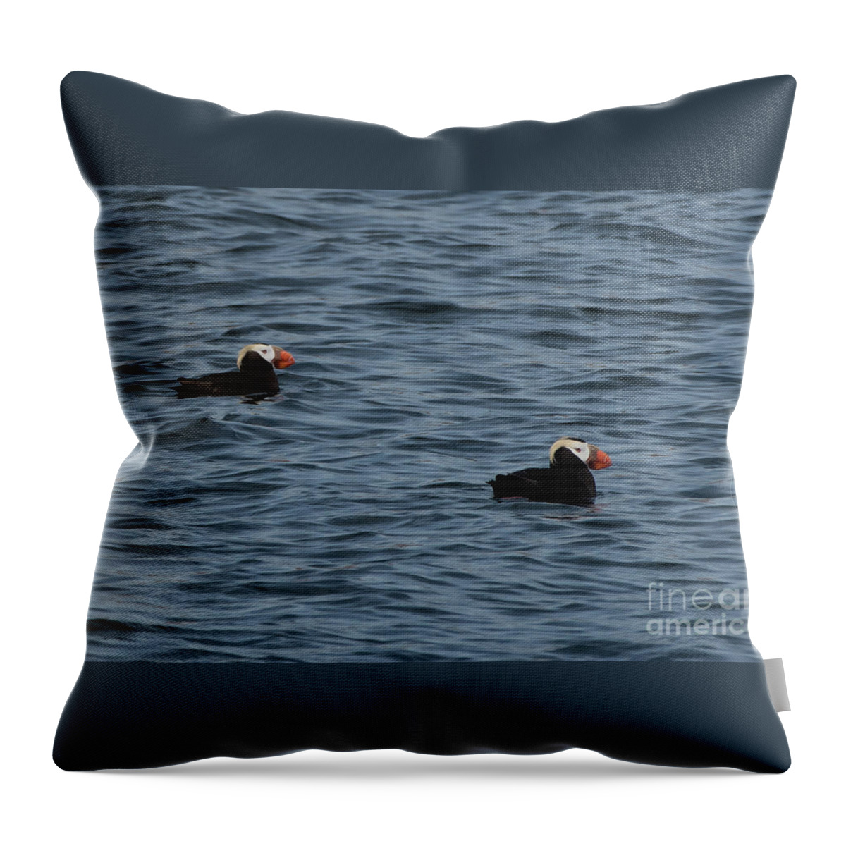 Fratercula Cirrhata Throw Pillow featuring the photograph Tufted Puffins in the Salish Sea by Nancy Gleason