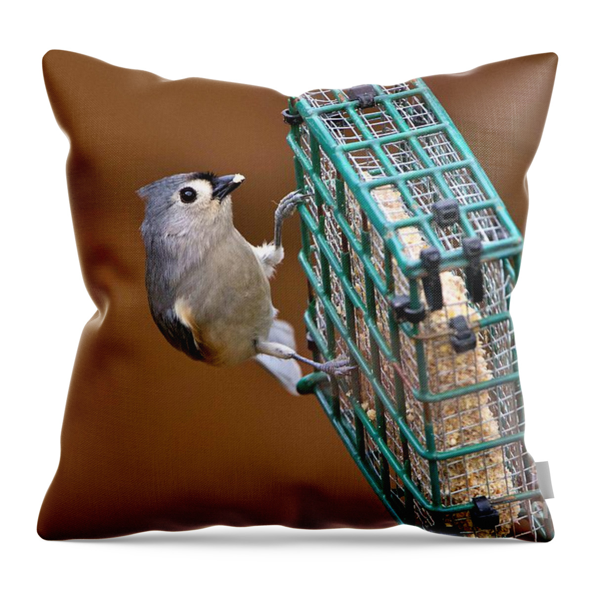 Tufted Throw Pillow featuring the photograph Tufted titmouse feeding by Yvonne M Smith