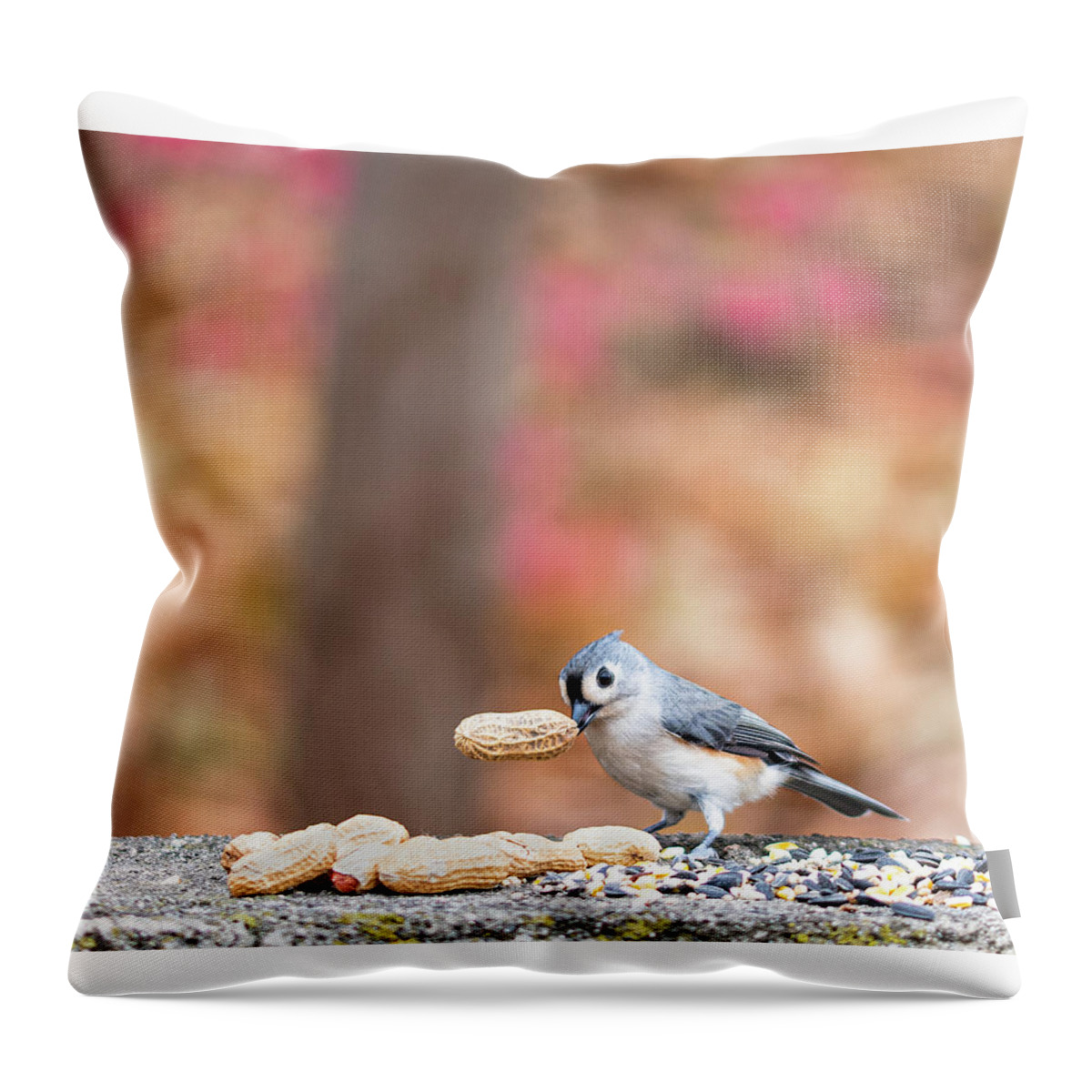 Little Gray Bird Throw Pillow featuring the photograph Tufted Titmouse with Peanut Cropped by Ilene Hoffman