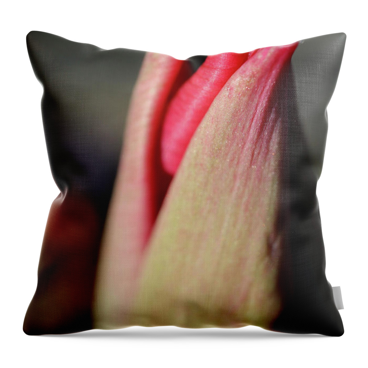 Tulip Throw Pillow featuring the photograph Tulip Awakening Kiss by D Lee