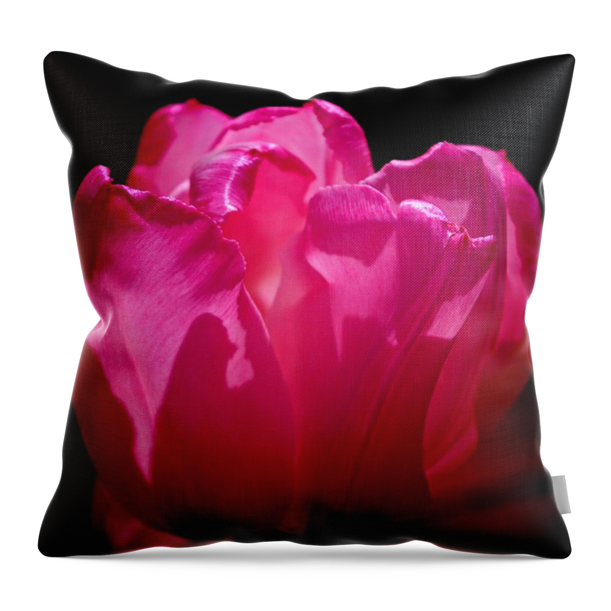 Whispers Of The Heart! Throw Pillow featuring the photograph Tulip beauty by Bess Carter