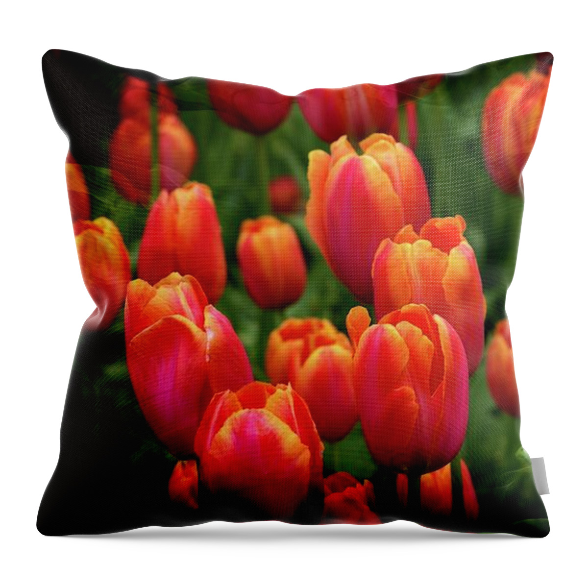 Tulips Throw Pillow featuring the photograph Tulip Field Beauty by Michelle Liebenberg