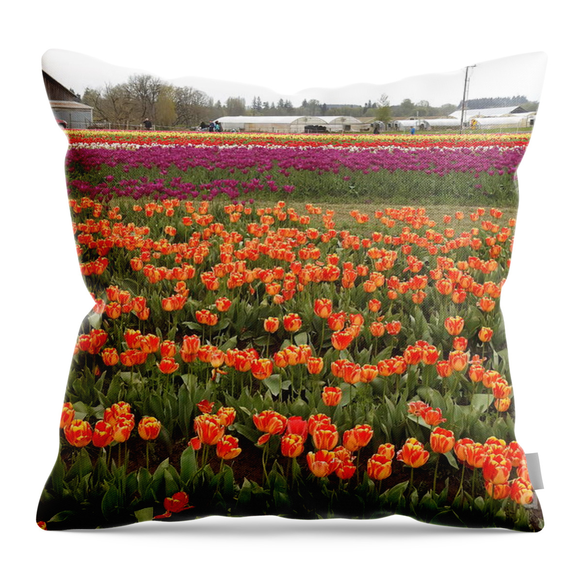 Tulips Throw Pillow featuring the photograph Tulip Fields -1 by Scott Cameron