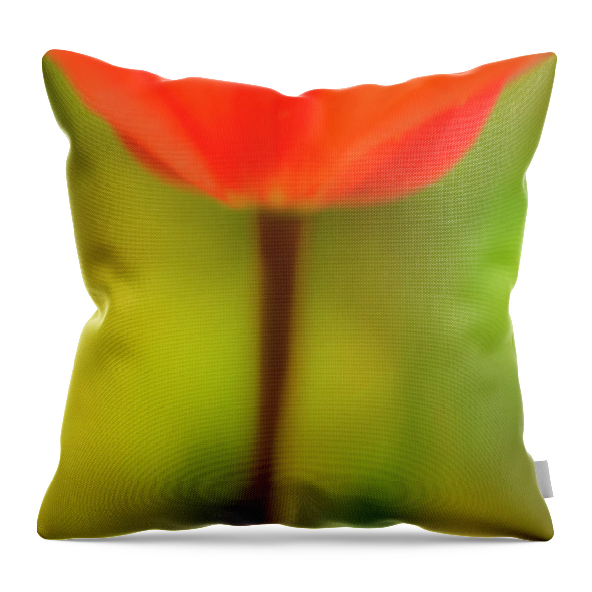 Tulip Throw Pillow featuring the photograph Tulip by Kathy Paynter