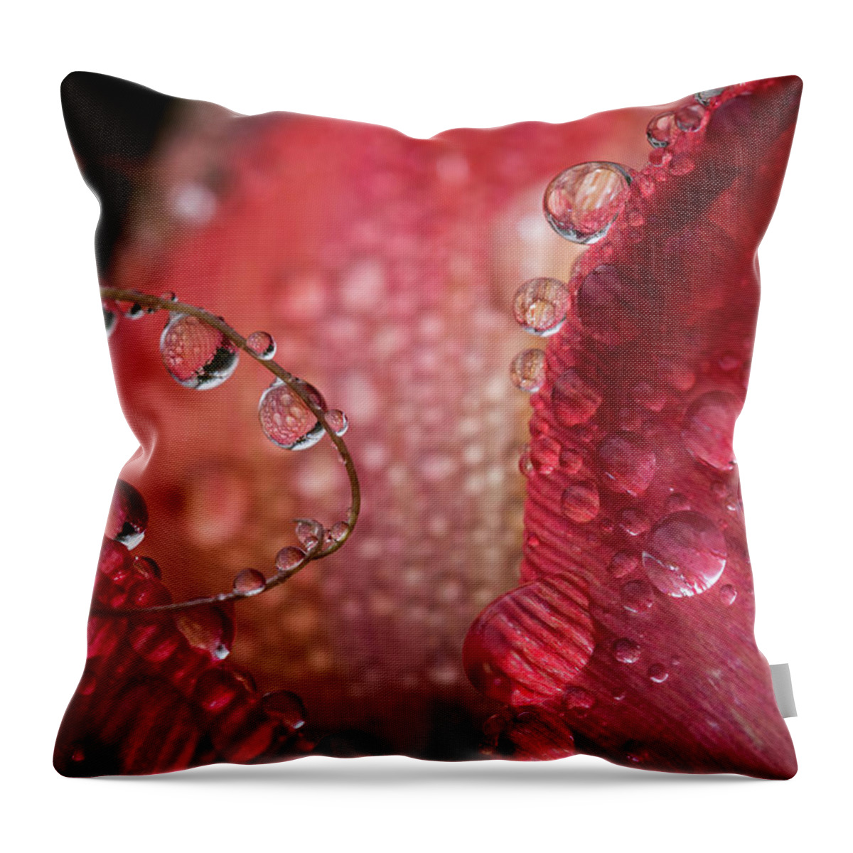 April Throw Pillow featuring the photograph Tulip Petals in the Mist by Robert Potts