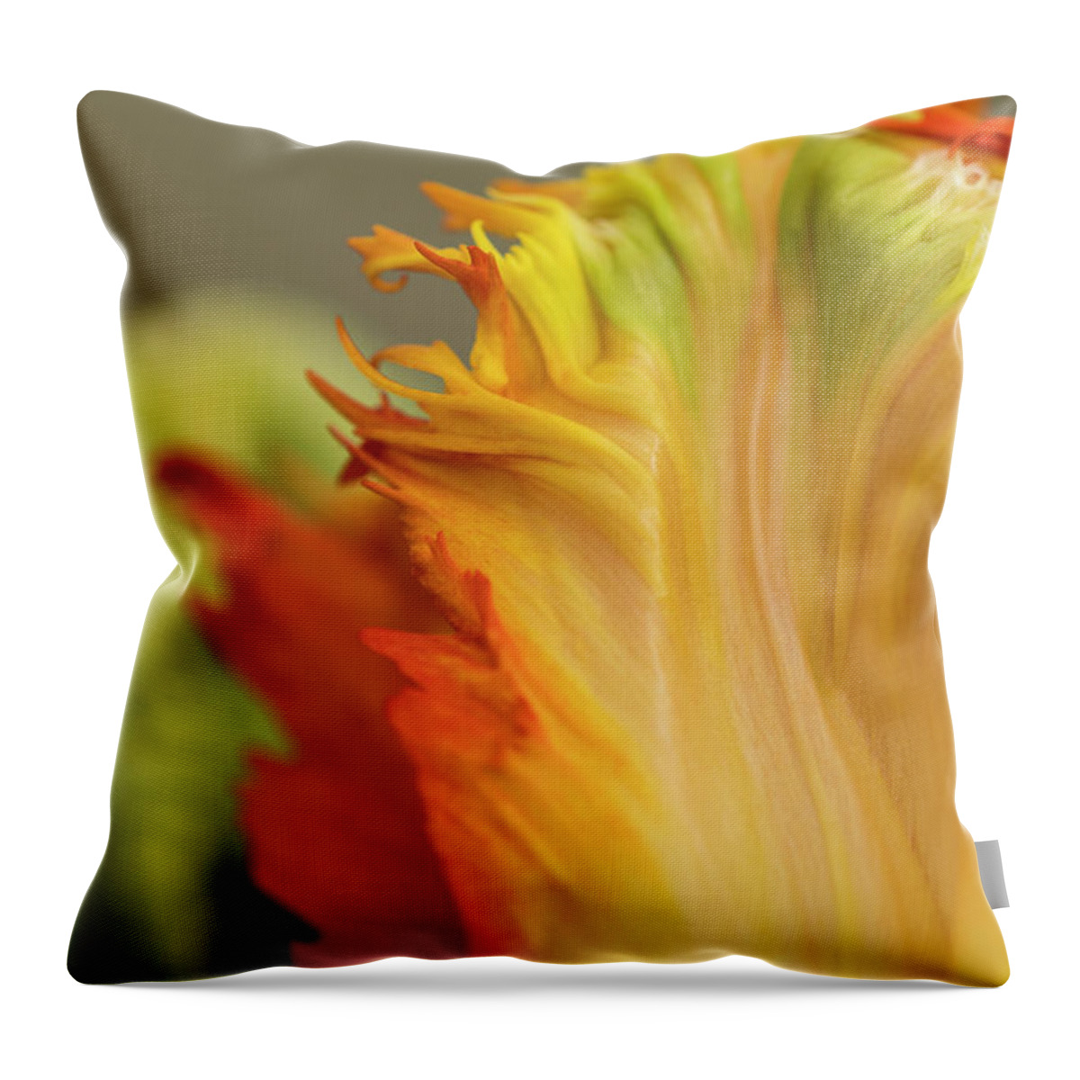 Astoria Throw Pillow featuring the photograph Tulip Petals by Robert Potts