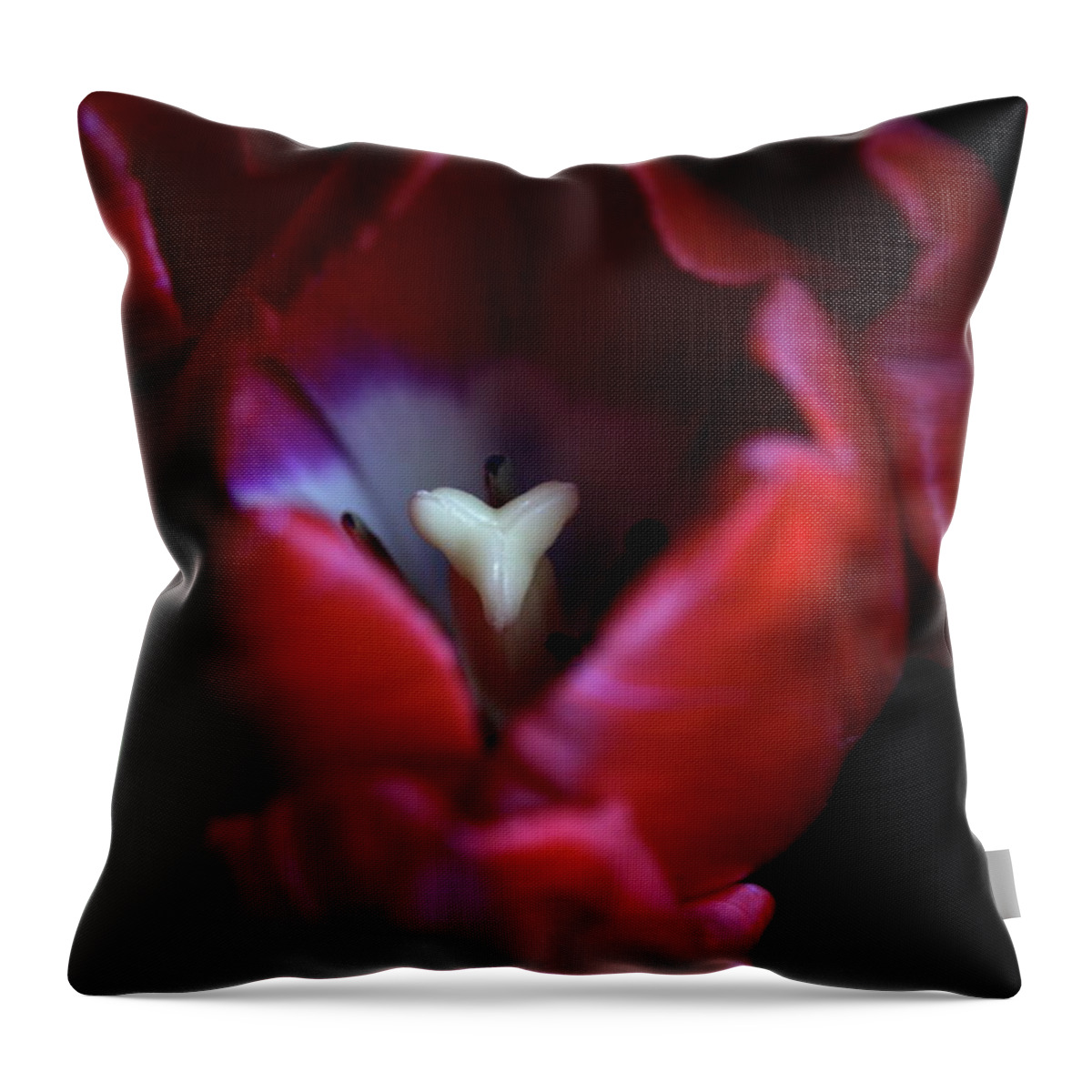 Macro Throw Pillow featuring the photograph Tulip Pink 7082 by Julie Powell