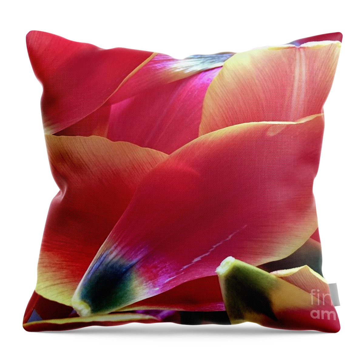 Composition Throw Pillow featuring the photograph Tulip Series 1-2 by J Doyne Miller