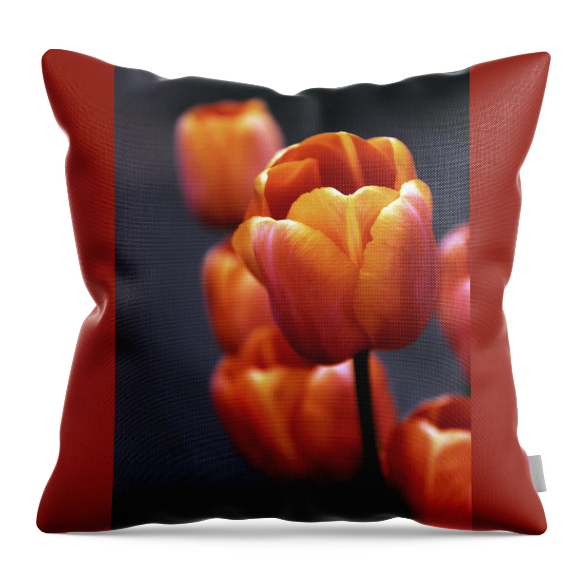 Tulips Throw Pillow featuring the photograph Tulips Aglow by Jessica Jenney