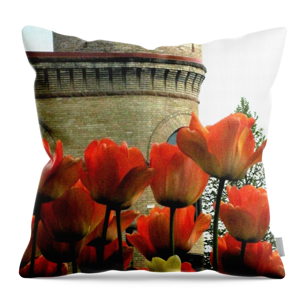 Tulips Throw Pillow featuring the photograph Tulips and Tower by Sherry Oliver