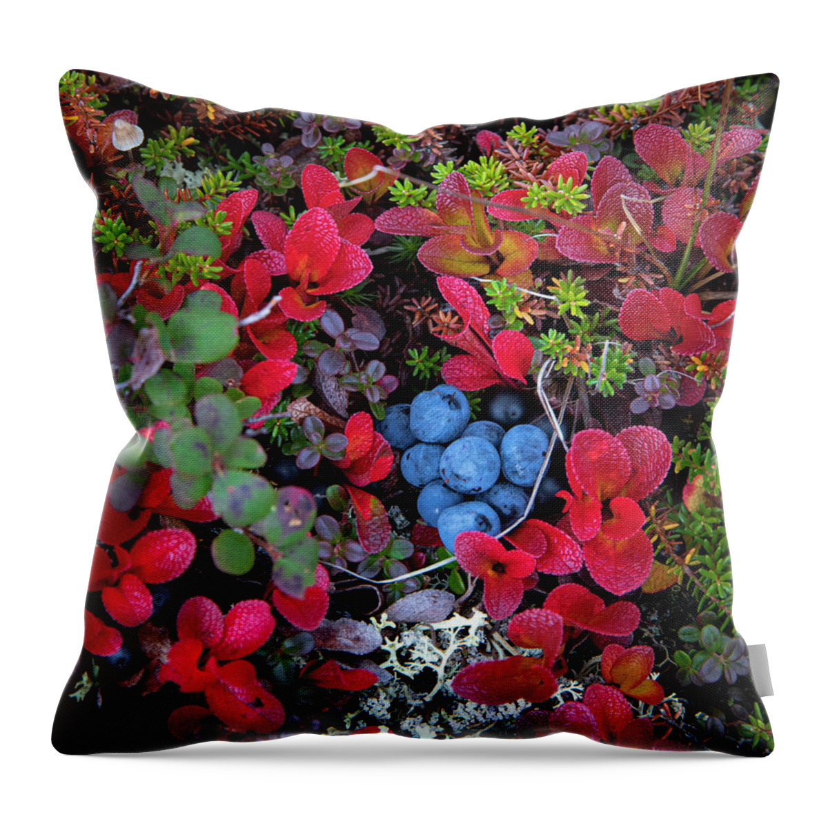 Tundra Throw Pillow featuring the photograph Tundra Harvest by Scott Slone