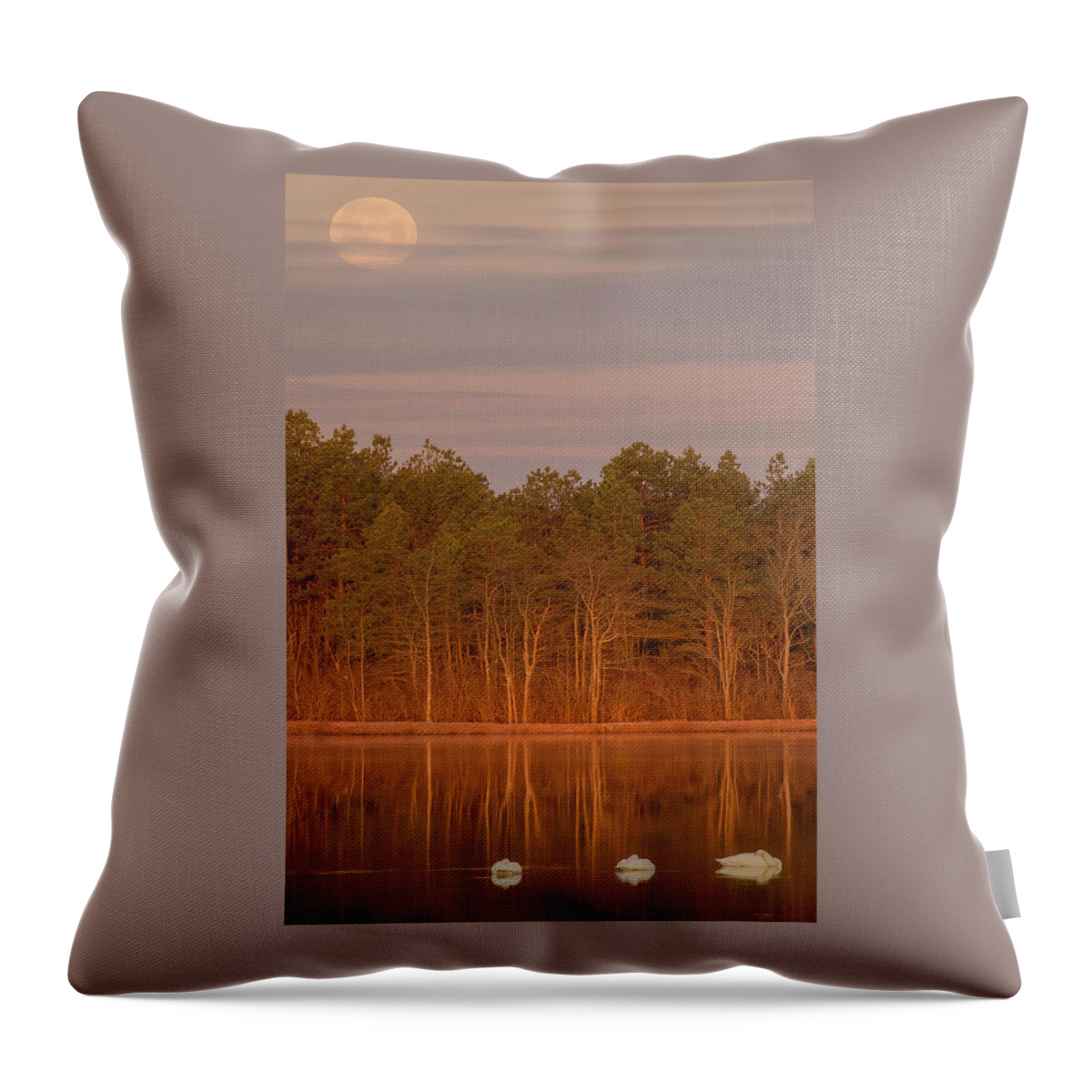 Tundra Swans Throw Pillow featuring the photograph Tundra Swans Under the Full Snow Moon by Beth Venner