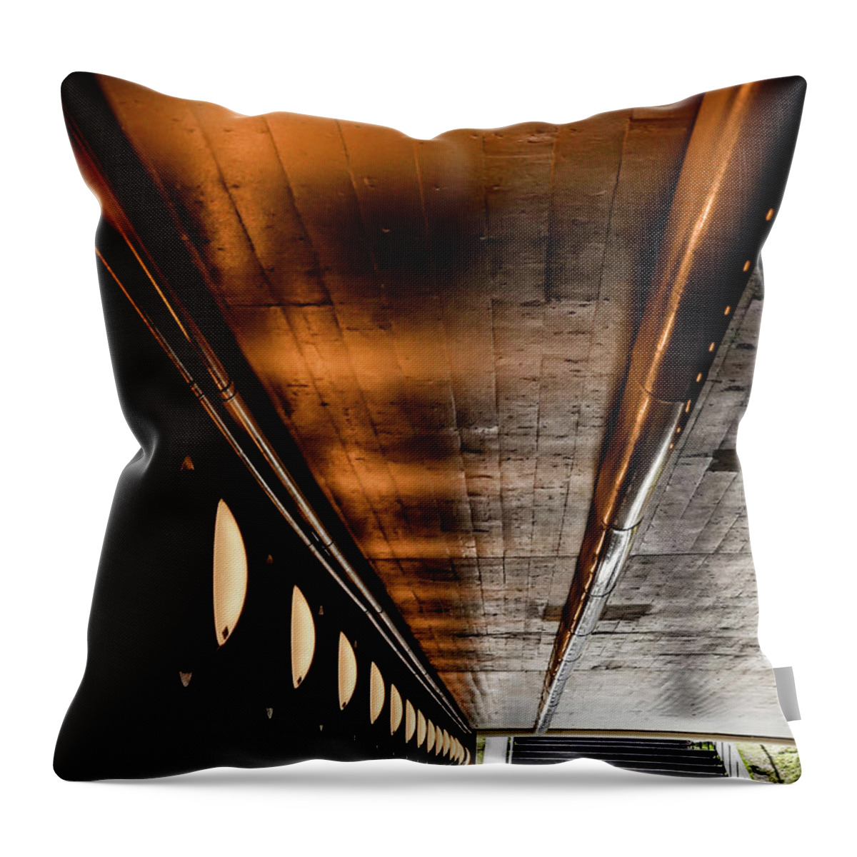 Nordic Throw Pillow featuring the photograph Tunnel by Alexander Farnsworth