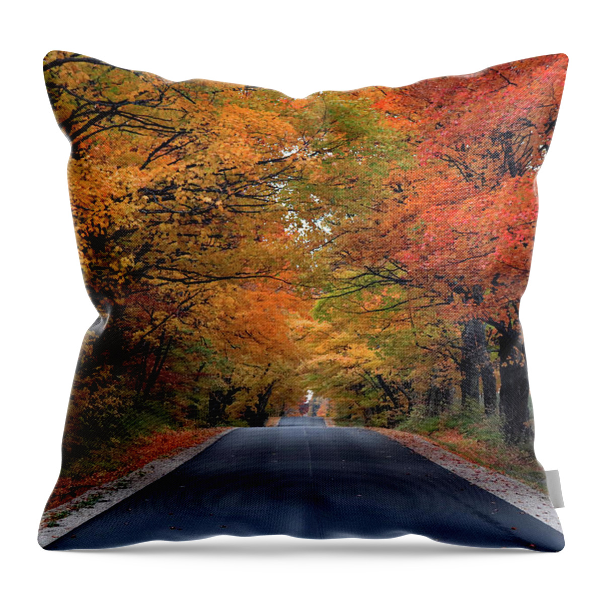 Sister Bay Throw Pillow featuring the photograph Tunnel of Fall Colors by David T Wilkinson