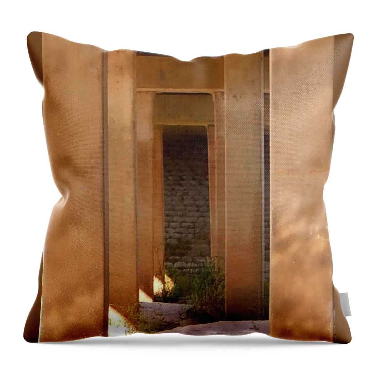 Hike Throw Pillow featuring the photograph Tunnel Vision Under the Bridge by Gena Herro