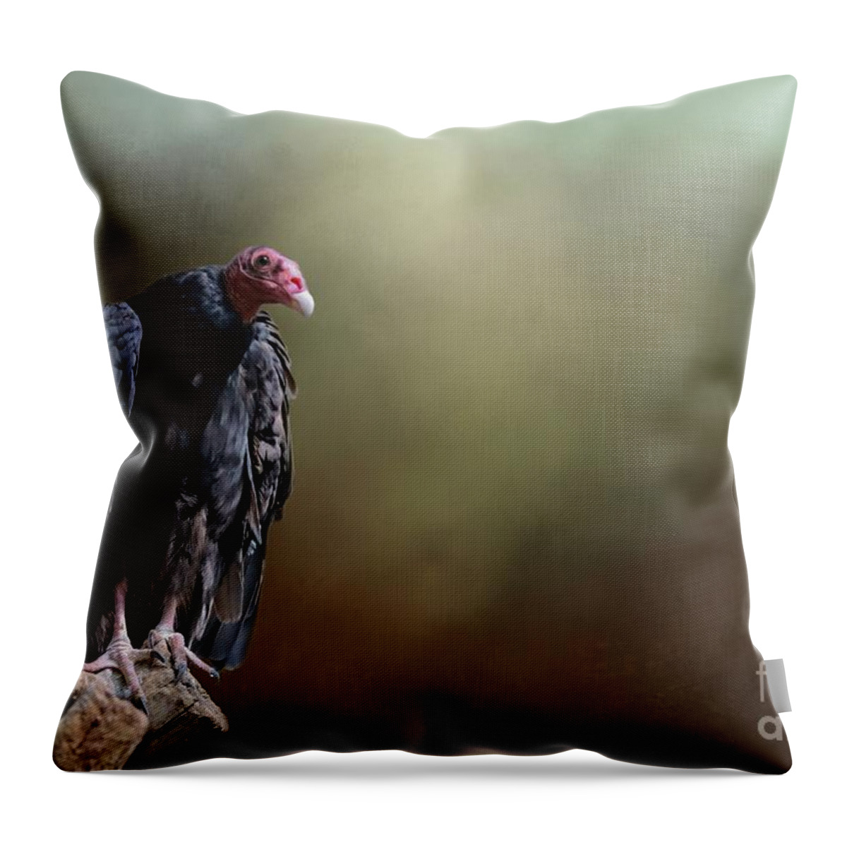 Turkey Vulture Throw Pillow featuring the photograph Turkey Vulture by Eva Lechner