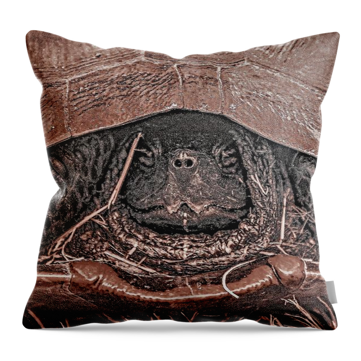 Turtle Close Black White Face Throw Pillow featuring the photograph Turtle3a by John Linnemeyer