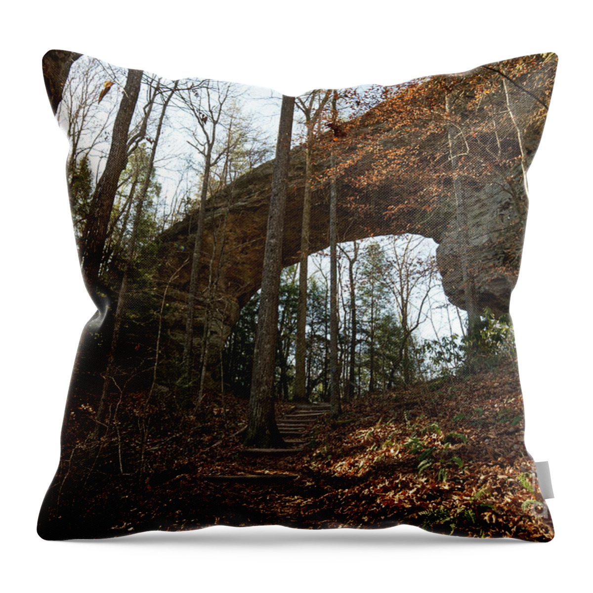 Nature Throw Pillow featuring the photograph Twin Arches 4 by Phil Perkins