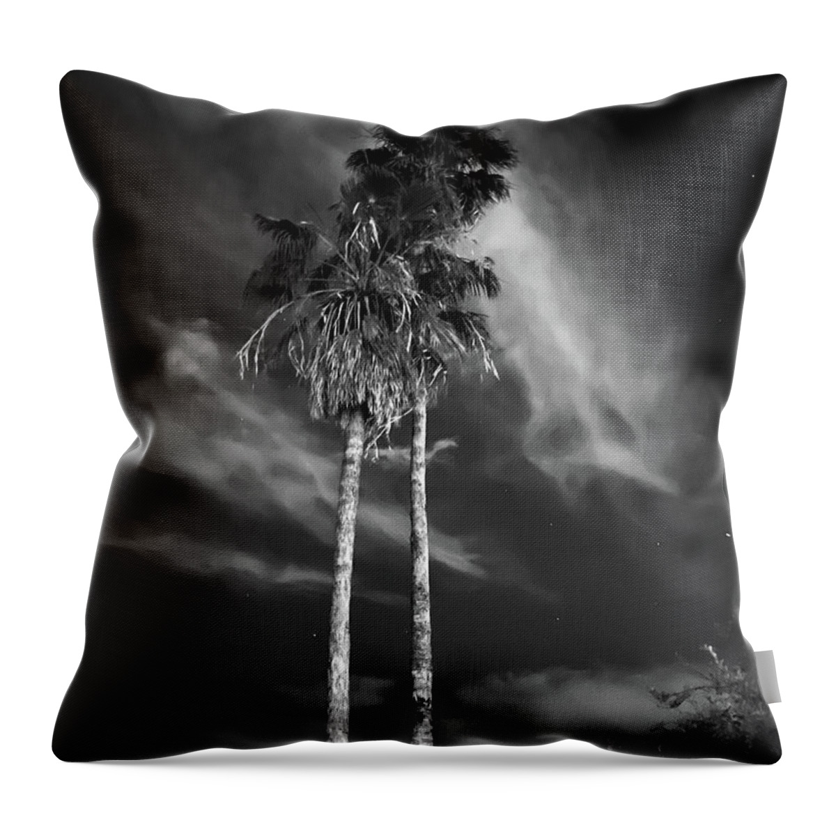 Black And White Throw Pillow featuring the photograph Twin Palms at Square One Ranch by Grey Coopre