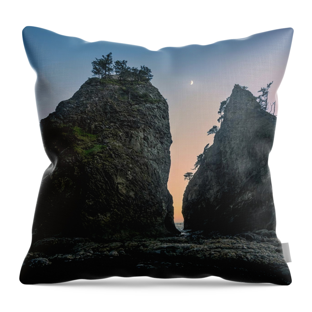 Nature Throw Pillow featuring the photograph Twins At Rialto by Steve Berkley