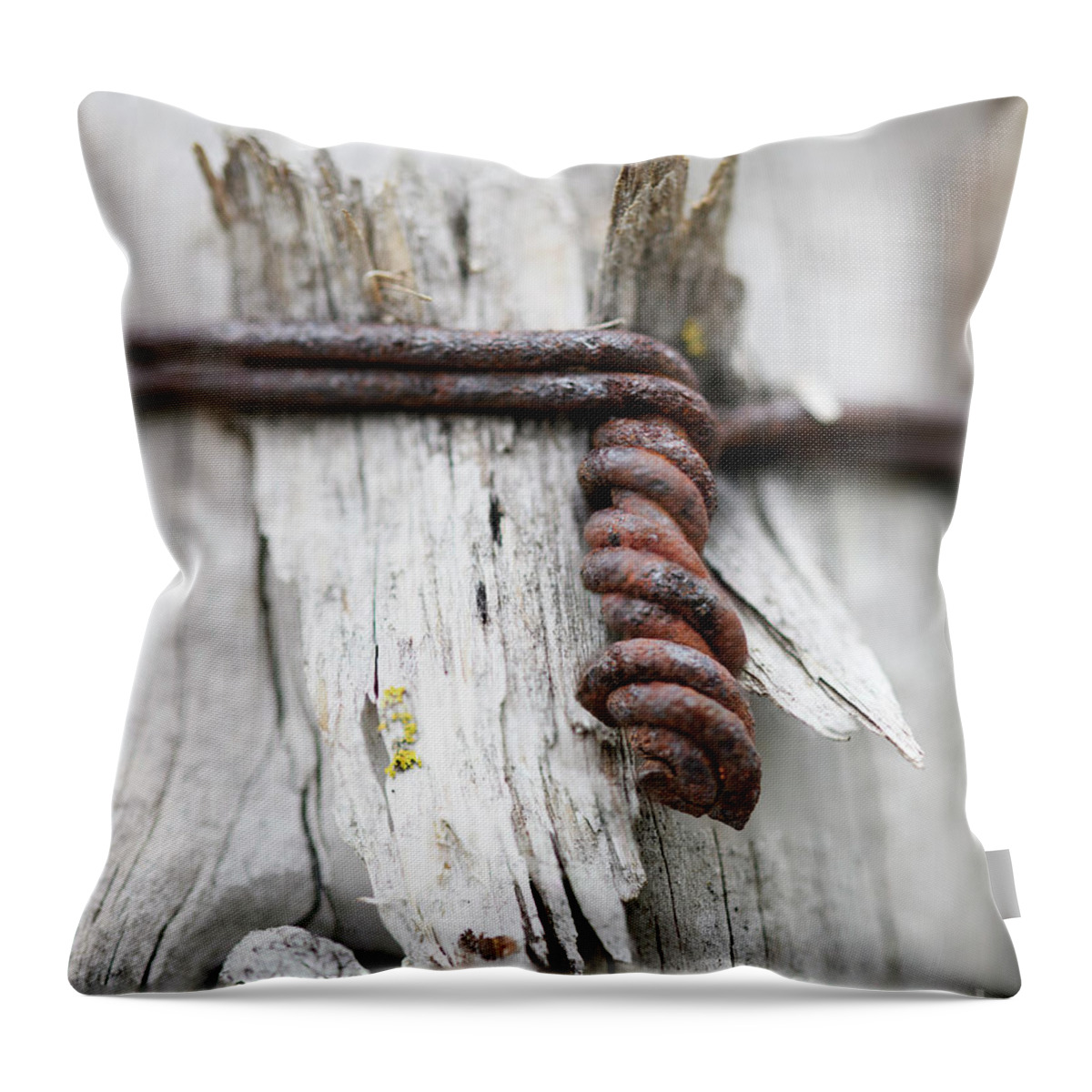 Twisted Throw Pillow featuring the photograph Twisted by Patrick Nowotny