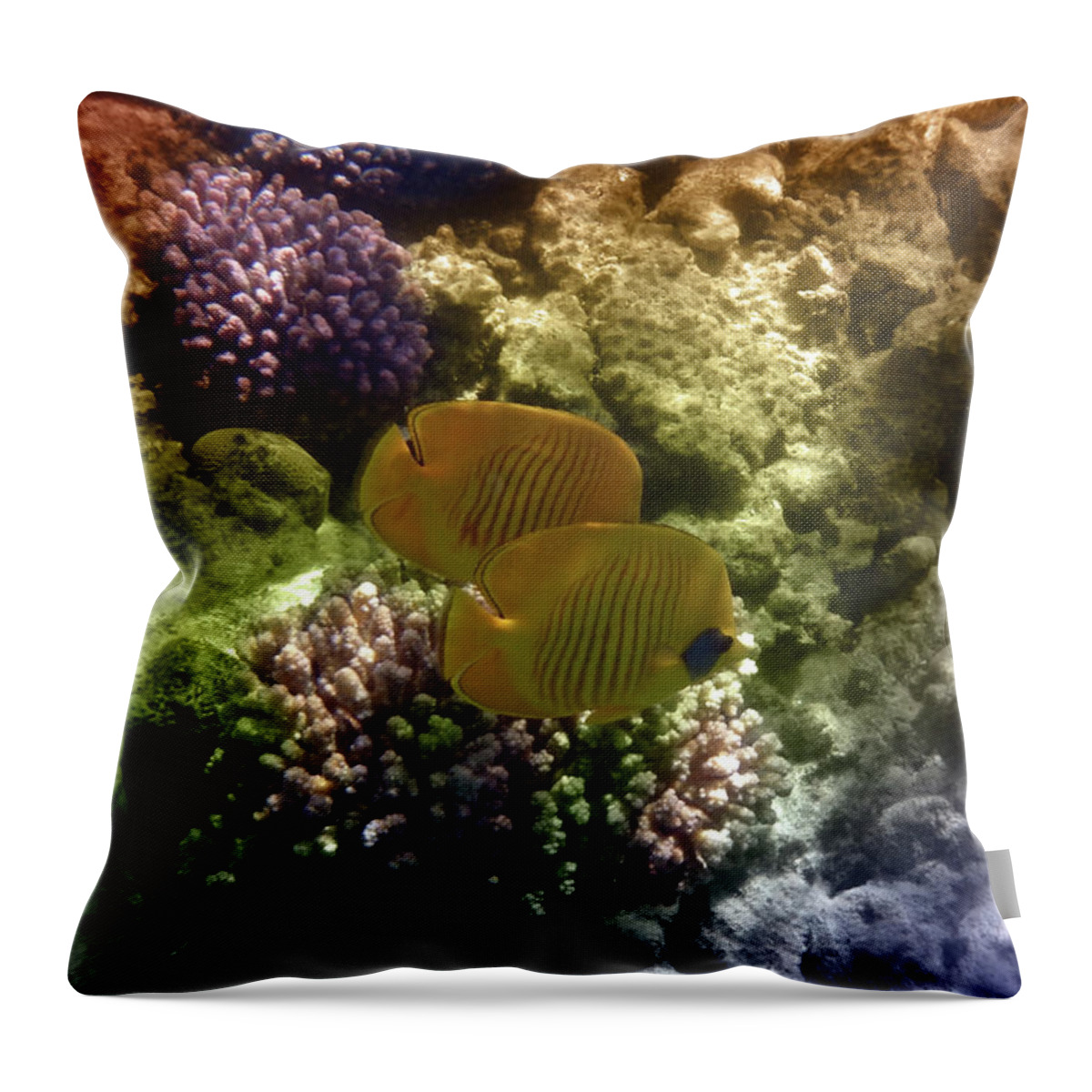 Butterflyfish Throw Pillow featuring the mixed media Two Beautiful Masked Butterflyfish Among the Red Sea Corals by Johanna Hurmerinta