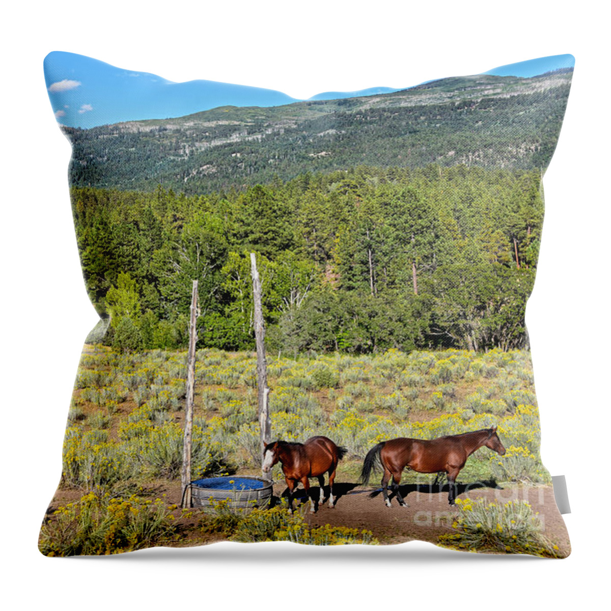 Horses Throw Pillow featuring the photograph Two Horses in Rabbitbrush by Catherine Sherman
