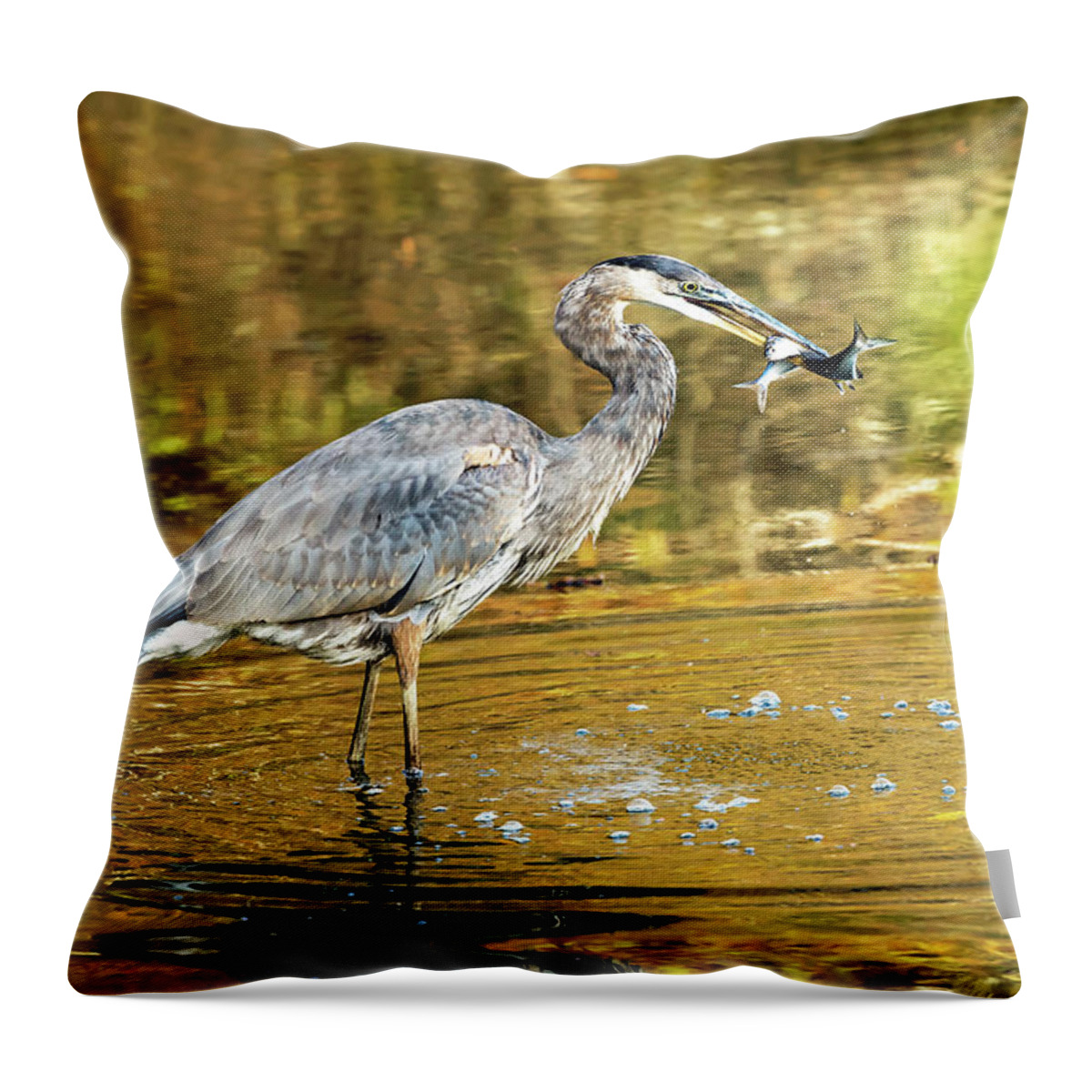 Great Blue Heron Throw Pillow featuring the photograph Two Keepers by Jamie Pattison